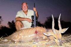 Bushbuck-3