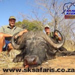 Cape Buffalo