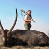 waterbuck