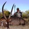 waterbuck