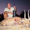 Bushbuck 3