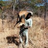 bushbuck1