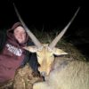 Common Reedbuck